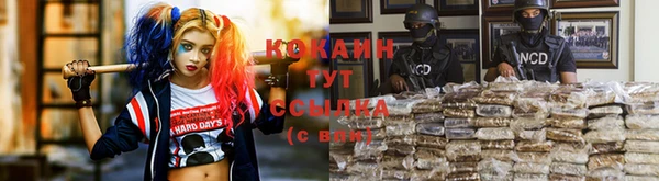 хмурый Богородицк