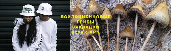 хмурый Богородицк