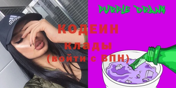 хмурый Богородицк